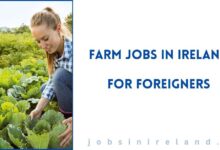 Farm Jobs in Ireland for Foreigners