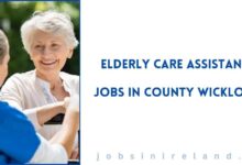 Elderly Care Assistant Jobs in County Wicklow