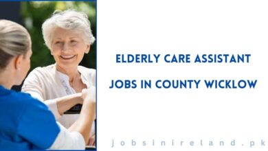 Elderly Care Assistant Jobs in County Wicklow