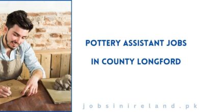 Pottery Assistant Jobs in County Longford