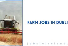 Farm Jobs in Dublin