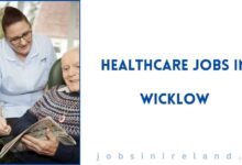 Healthcare Jobs in Wicklow