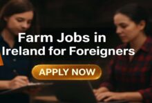 Farm Jobs in Ireland for Foreigners