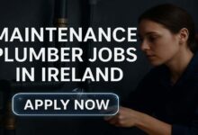 Maintenance Plumber Jobs in Ireland