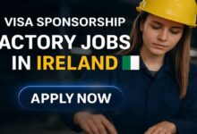 Visa Sponsorship Factory Jobs in Ireland